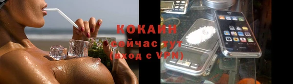 хмурый Бердск