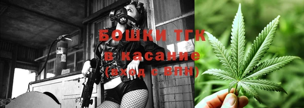 хмурый Бердск