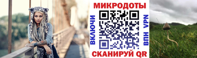 Галлюциногенные грибы Psilocybine cubensis  Дзержинский 